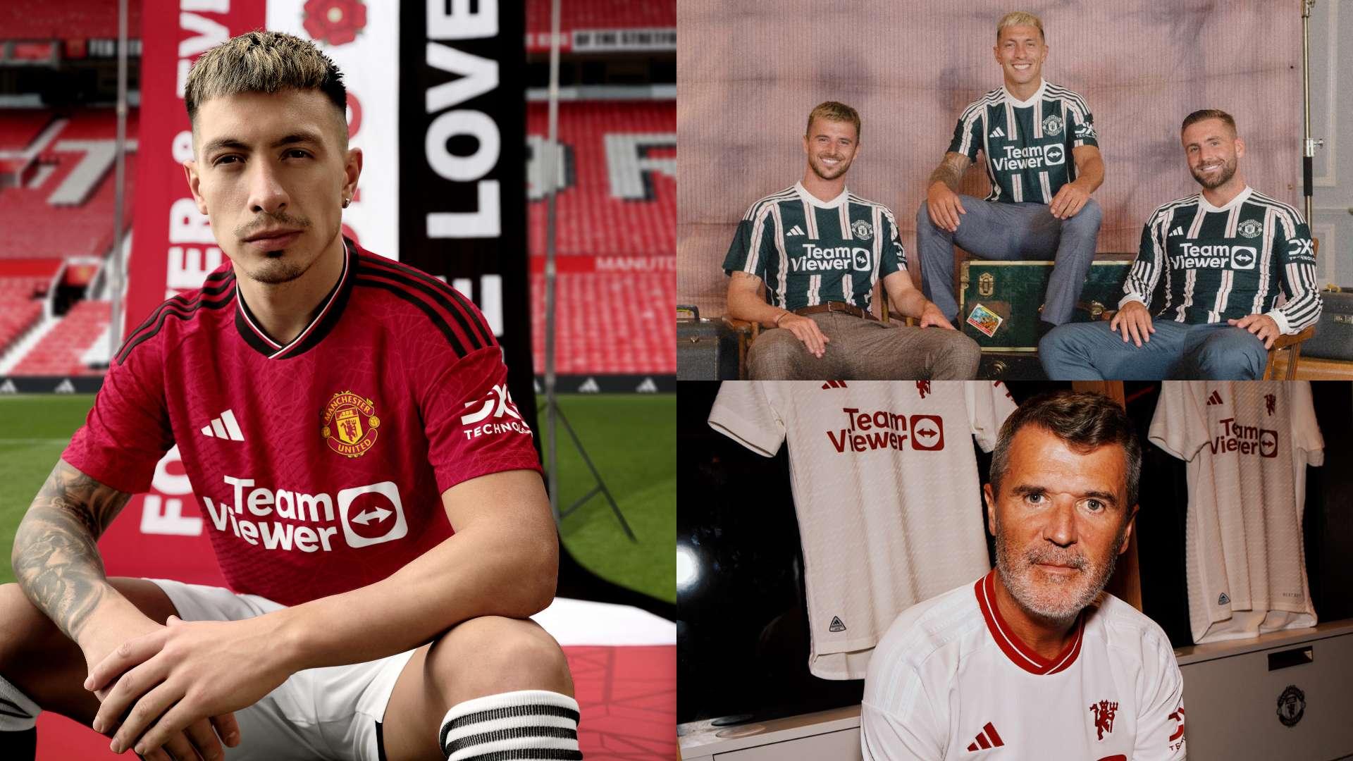 体素质上同 体素质上同